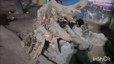 निघासन: निघासन मुख्य चौराहे पर अलाव के नाम पर ठंड से ठिठुर रहे लोगों के साथ किया जा रहा मज़ाक, जिम्मेदारों पर उठे सवाल