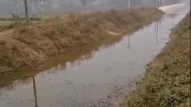 सहजनवा: घघसरा में गेहूं की पहली सिंचाई का समय बीत गया, नहरों में नहीं है पानी: लाखों खर्च के बाद भी किसानों को नहीं मिल रहा लाभ