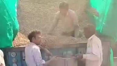 ભિલોડા: ભિલોડા ખાતે ટેકાના ભાવે મગફળી ખરીદીમાં ૩૯,૮૭૬ કટ્ટાની આવક નોંધાઈ છે, જ્યારે ૩૮,૬૧૨ કટ્ટાની જાવક નોંધાઈ