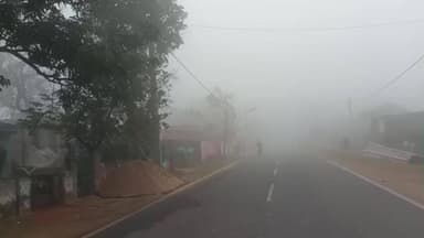 कटकमदाग: घने कोहरे और ठंड से कटकमदाग प्रखंड क्षेत्र में जनजीवन प्रभावित, घरों में दुबके लोग, पशु भी हुए बेहाल