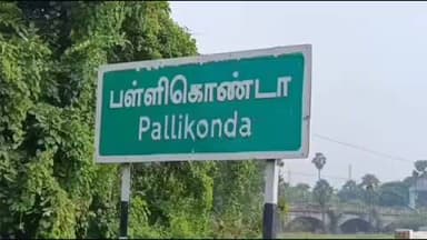 அணைக்கட்டு: ஓதியத்தூர் புதுமனை பகுதியில் இயற்கை உபாதை கழிக்க சென்ற இரண்டு மூதாட்டிகளை கட்டையால் தாக்கி 3 சவரன் நகை அபேஸ்