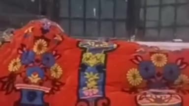 भूपालसागर: कोहरे की चादर में टूटी रफ्तार, भोपाल सागर के निकट कांकरवा मोड़ पर टेंपो और बाइक की भिड़ंत में दो गंभीर घायल, कई जख्मी