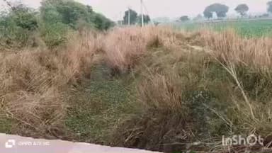 गोरमी: नाले की सफाई न होने से खेतों तक नहीं पहुंच रहा पानी