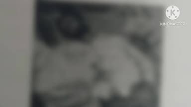 आगर: आगर अयोध्या बस्ती: 29 वर्षीय युवक ने फांसी लगाकर की आत्महत्या