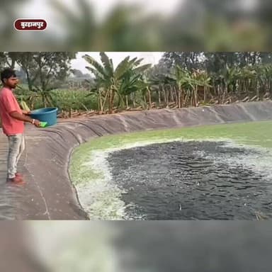 ✅ #खुशियों_की_दास्तां
✅ #प्रधानमंत्री_मत्स्य_संपदा_योजना
✅ पोण्ड बायोफ्लॉक- कम जगह, कम लागत, ज्यादा उत्पादन
✅ जिले ...