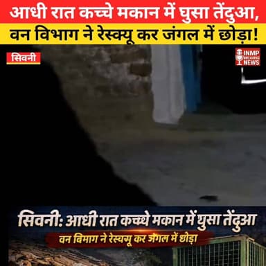 सिवनी: ग्रामीण के घर में घुसा तेंदुआ, रेस्क्यू कर जंगल छोड़ा
कुरई ब्लॉक में तेंदुए की दहशत, देर रात रेस्क्य
#Seoni #Mad...