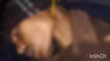 बैराड़: कैमरारा गांव में खेत में पेड़ से लटका मिला युवक का शव, पुलिस ने मामला दर्ज कर जांच शुरू की