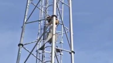 सतवास: सतवास के धासड़ गांव में युवती टावर पर चढ़ी, युवक से शादी की जिद पर अड़ी, समझाने पर उतरी