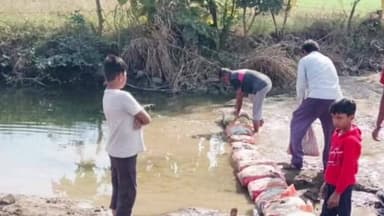 खंडवा: ग्रामीणों की सहभागिता से जल संरक्षण को मिली मजबूती: जलवा बुजुर्ग व अंजनिया खुर्द में बना बोरी बंधान