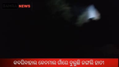 କବରିବାହାଲ ରେ ହାତୀ #bamra #kabribahal