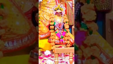 रोपाड़ा स्थित मंदिर में गोविंद देव जी की आज की पूजा अर्चना सिंगार अलौकिक झांकी आरती के दर्शन कीजिए