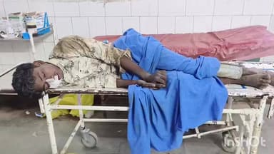 डूंगरपुर: पेड़ से टकराई बाइक, 2 लोग हुए घायल