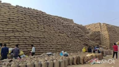 बैकुंठपुर: जिले में खरीफ विपणन वर्ष 2025-26 के अंतर्गत धान खरीदी का कार्य सुव्यवस्थित एवं चौकस व्यवस्था के साथ जारी