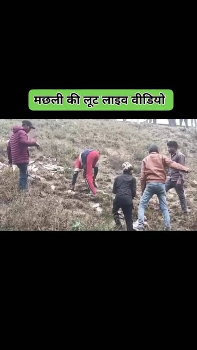 बागपत ::- ईस्टर्न पेरीफेरल एक्सप्रेसवे पर पलटा मछलीयों से भरा ट्रक --- हजारों मछलीया नीचे गिरी --- ग्रामीणों व राहगीरों ...