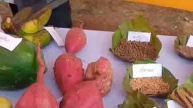 मुसाबनी: ताम्बाजुड़ी फुटबॉल मैदान में एक दिवसीय किसान मेले का आयोजन