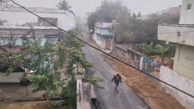 अनूपपुर: अनूपपुर में शीतलहर का असर, घना कोहरा छाया