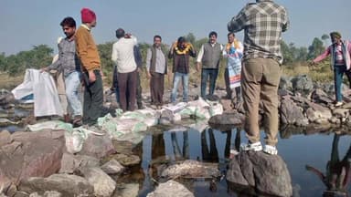 खरगापुर: टीकमगढ़ के बल्देवगढ़ में साधनी नदी पर मध्य प्रदेश जन अभियान परिषद द्वारा बोरी वंधान किया गया