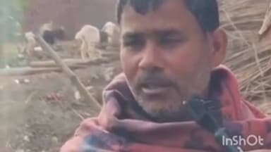 ब्रह्मपुर: योगियां पंचायत के ओझावलिया टोला में अज्ञात चोरों ने किसान की झोपड़ी से दो भैंसें चुराईं, ₹1.5 लाख का नुकसान