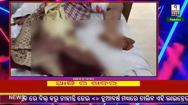 ବାରାହା ଆକ୍ରମଣ ରେ ଜଣେ ଗୁରୁତର #viralreels2025 #reelsinindia #Diwali2025 #odishaclicks #odishagram #ExamScam #christmas2025...