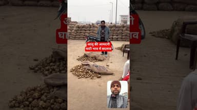 आज मंडी में आलू की आमदनी घाटी भाव में हुआ बदलाव ठठिया मंडी कन्नौज में 🥔 naya Aalu ka bhav