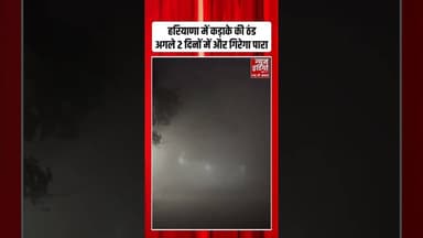 Haryana में कड़ाके की ठंड...अगले 2 दिनों में और गिरेगा पारा | #haryanaweather #coldwave #shorts