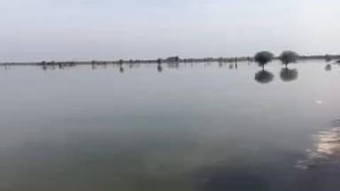 मारवाड़ जंक्शन: मारवाड़ जंक्शन बानियावास बांध से सिंचाई के लिए खोली गई दूसरी पान, किसानों में छाई खुशी की लहर