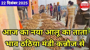 आज का आलू का भाव ठठिया मंडी कन्नौज से 22 दिसंबर 2025 🥔 Naya Aalu Ka Bhav