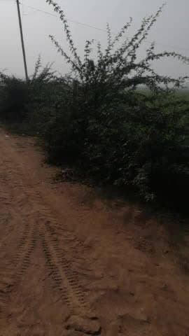 Paharhi kikro se atikarmann sohan lal sonoff brijlal ke dabara kar rakha h sarkari sadak par