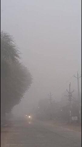 बसवा: बांदीकुई में घना कोहरा छाया, विजिबिलिटी 50 मीटर रही, रेल-सड़क यातायात प्रभावित, हेडलाइट जलाकर चल रही गाड़ियां