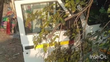 मूल: मुल तालुक्यातील मिरची तोडण्यासाठी जात असताना मजुराचे पिकपचा अपघात तीन तीन जणांचा मृत्यू तर सहा जण जखमी