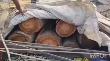 वाड्रफनगर: वन माफियाओं पर बड़ी चोट: अवैध नीलगिरी से भरा ट्रक किया गया जब्त, चालक फरार