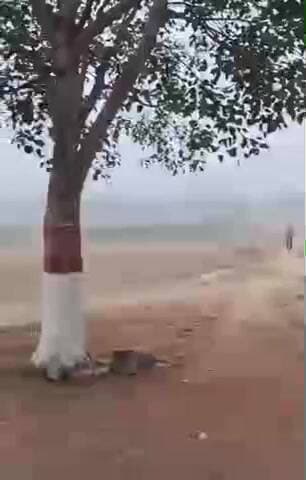 टीकमगढ़: टीकमगढ़ में कड़ाके की ठंड, अधिकतम तापमान 6.5 डिग्री सेल्सियस तक गिरा