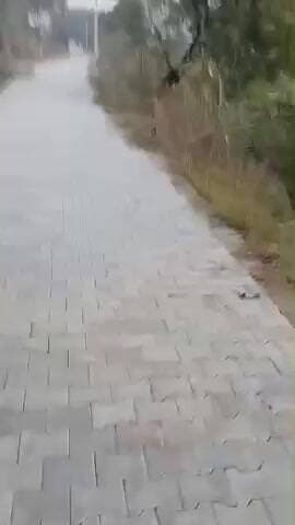 घुसिया पंचायत में इन्टर लोक में प्रधान सचिव कर रहे हैं धाधली पुरानी आर सी सी ऐबम मिट्टी पर हो रही है इन्टर लोक कोंच तहसी