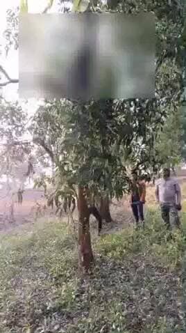 सामरी कुसमी: तहसील कार्यालय में पदस्थ भृत्य ने पेड़ पर फांसी लगाकर आत्महत्या की, कारण अज्ञात, पुलिस जांच में जुटी