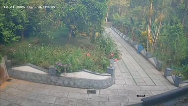 കണ്ണൂർ: അയ്യൻകുന്നിൽ ജനവാസ മേഖലയിൽ ഇറങ്ങിയ കാട്ടാന കാട് കയറി, നിരോധനാജ്ഞ പിൻവലിച്ചു