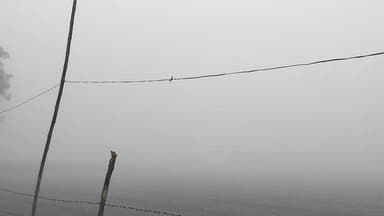 jaswant nagar
Durgapur
thand ka mausam