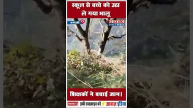 स्कूल से बच्चे को उठा ले गया भालू शिक्षकों ने बचाई जान! #BearAttack #uttarakhandsarkar #vanvibhag
