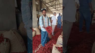 #తేజ డీలక్స్ 148-150 #subscribe #chilli #trendingshorts