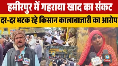 #हमीरपुर में गहराया खाद का संकट दर-दर भटक रहे किसान कालाबाजारी का आरोप