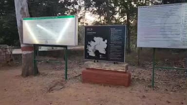 कुरई: पेंच टाइगर रिजर्व में अनुशासनात्मक कार्रवाई, अनाधिकृत अनुपस्थिति पर 1 अधिकारी व 2 कर्मचारियों को नोटिस