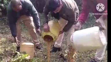 নিতুড়িয়া: অবৈধ মদ তৈরি ও বিক্রির বিরুদ্ধে নিতুড়িয়ার একাধিক গ্রামে আবগারি দফতরের অভিযান,বাজেয়াপ্ত চোলাই মদ ও তরল