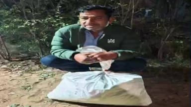 तारानगर: तारानगर थाना पुलिस ने 8 किलोग्राम अवैध गांजा किया ज़ब्त, एक व्यक्ति गिरफ्तार, कीमत ₹4 लाख