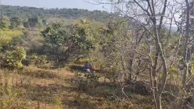 कळमनूरी: गोळेगाव परिसरात बिबट्या दिसला नागरिकांमध्ये भीतीचे वातावरण