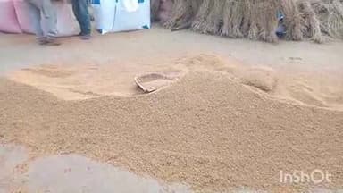 पोड़ैयाहाट: धान क्रय केंद्रों की बेरुखी से पोड़ैयाहाट के किसान परेशान