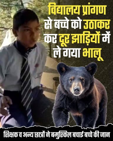 ◆ उत्तराखण्ड के पहाड़ी जनपदों में भालुओं की दहशत...
◆ विद्यालय प्रांगण से बच्चे को उठाकर कर दूर झाड़ियों में ले गया भालू....