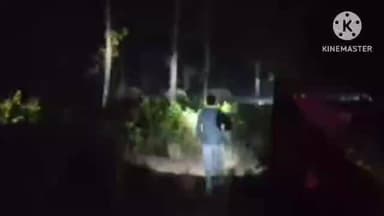 জয়পুর: বাঁকাদহ জয়রামবাটি রাস্তা পার হয় রাতের অন্ধকারে ছটি হাতির দল