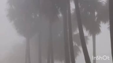 कौआकोल: कौवाकोल प्रखंड भर में भीषण ठंड, सतर्क और सुरक्षित रहने की अपील, कोहार में गाड़ी न चलने की सलाह