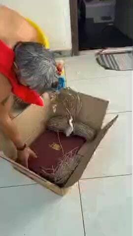 ପୁରୀ ମ୍ୟୁନିସିପାଲଟି: ପୁଣି ଜଗନ୍ନାଥ ବଳଭଦ୍ର ଓ ମା ସୁଭଦ୍ରାଙ୍କୁ ଅପମାନ। ଏକ ଫଟୋ ଫ୍ରେମରେ ପାଦ ଚିତ୍ରକୁ ତିନିଠାକୁରଙ୍କ ପଛପଟେ ରଖିବାର ଦୃଶ୍ୟ ସୋସିଆଲ ମିଡିଆର l