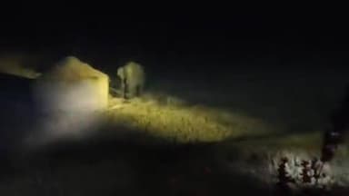 ଓରିଏଣ୍ଟ: କଦମଡ଼ିହି ଅଂଚଳରେ ଏକ ହାତୀ ବୁଲୁଥିବା ଭିଡିଓ ଭାଇରାଲ