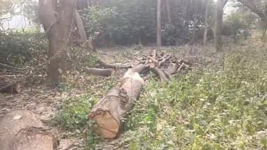 रायबरेली मे जगतपुर थाना क्षेत्र के अंतर्गत ग्राम सभा जढ़ईया गांव में वन विभाग और स्थानीय पुलिस को गुमराह कर ठेकेदार राजा...